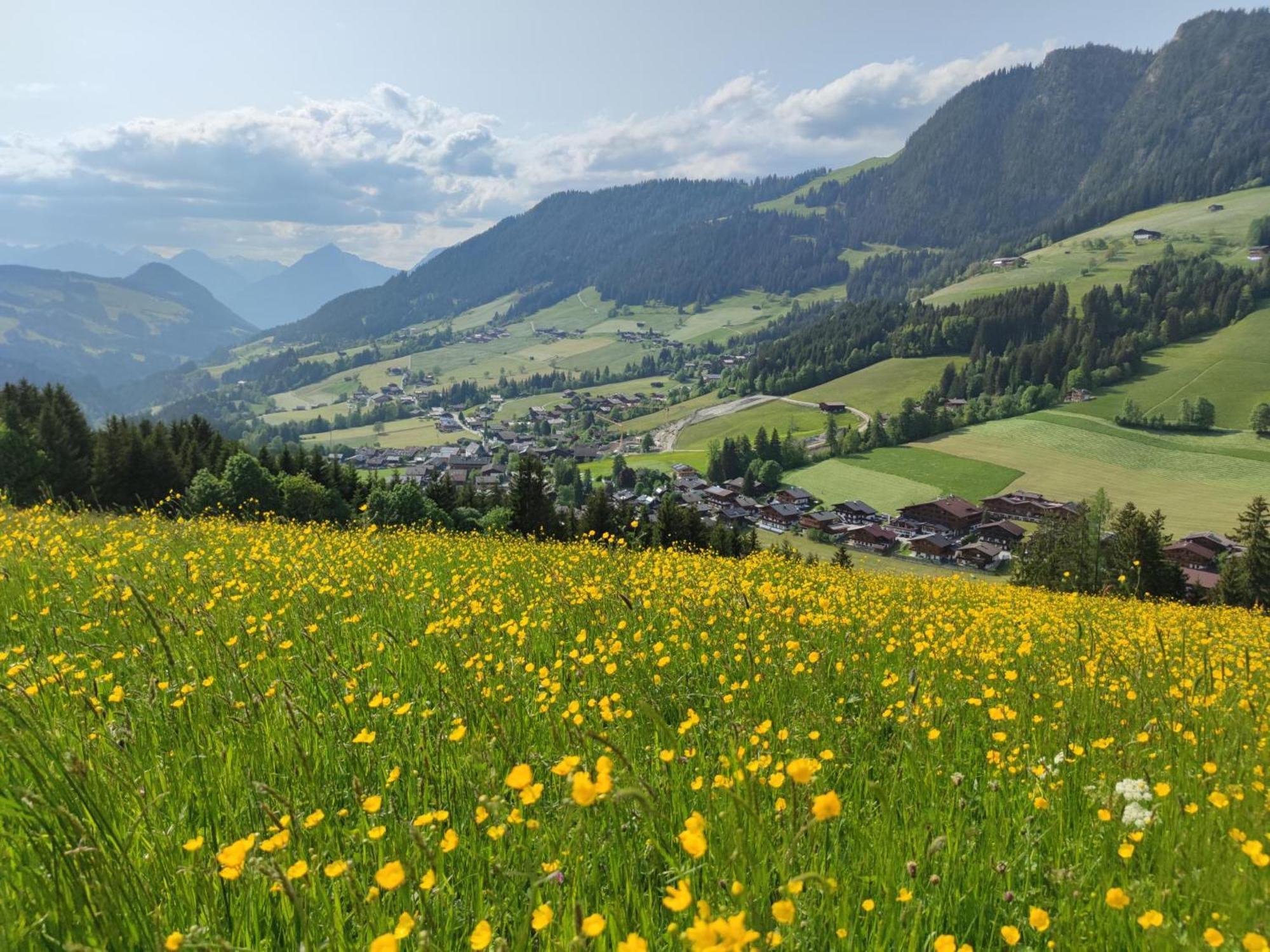 Chalet Mountain View Alpbach Ngoại thất bức ảnh
